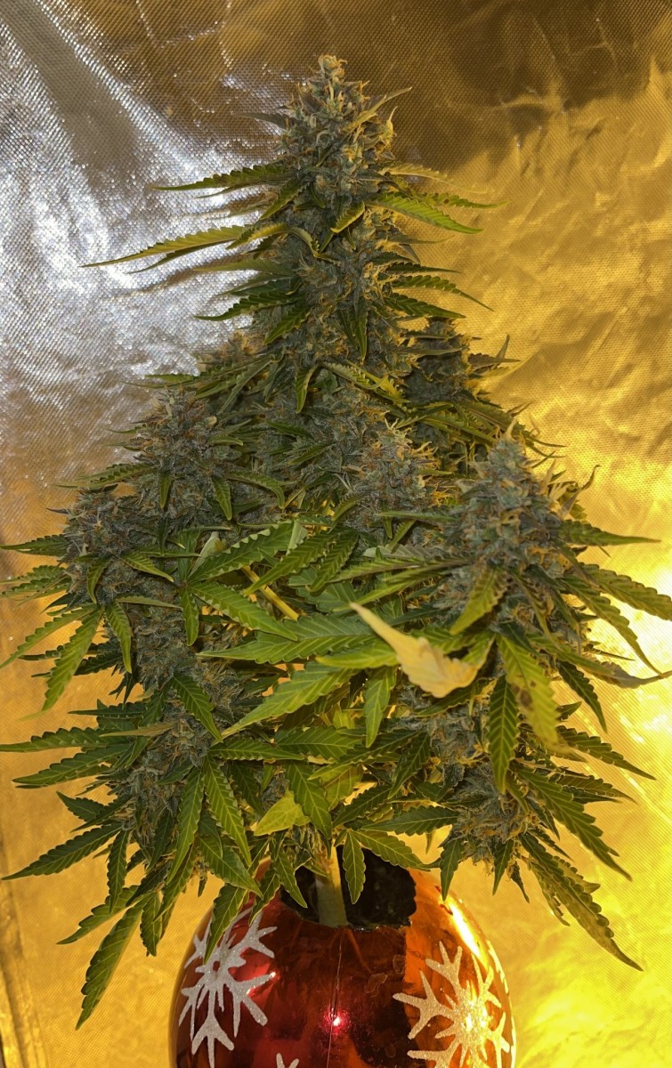 CB3C8457-825F-4D80-AE70-876D0625ECCA