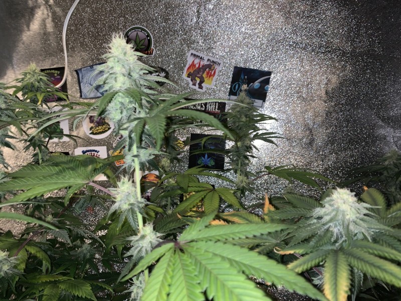 96C17EFB-7DAA-48DA-92D5-E1E4FBB1E6A8