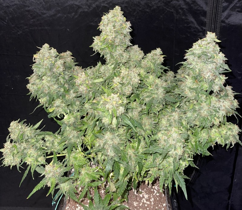 F5925E14-7399-4ADB-8550-D981806F8C3A