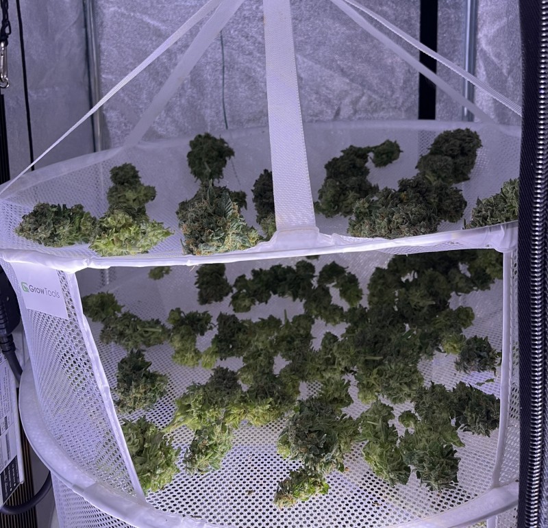 7A3053AB-C98D-4808-AE58-47A90EDA2006