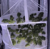 7A3053AB-C98D-4808-AE58-47A90EDA2006