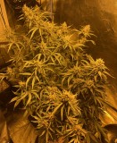 3EE663A2-0E71-417A-B498-0471E927E1DF