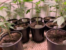 31289B97-3700-4778-82CD-F71A0BB62E04