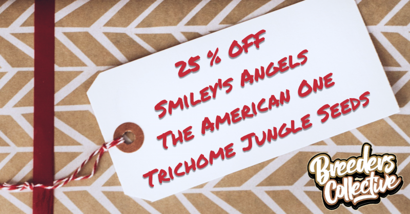 project_20221204_1536085-01