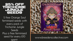 project_20221204_1519021-01