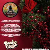 project_20221205_2208052-01