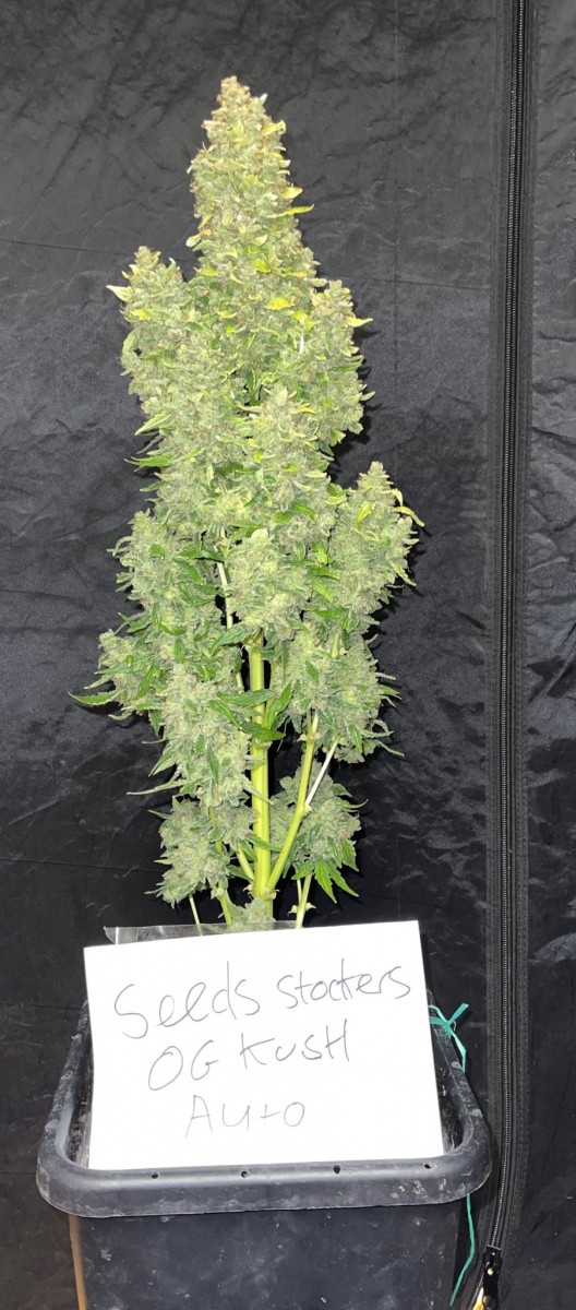 BB4AD409-B9D5-40D7-B801-BDEE53958DDB