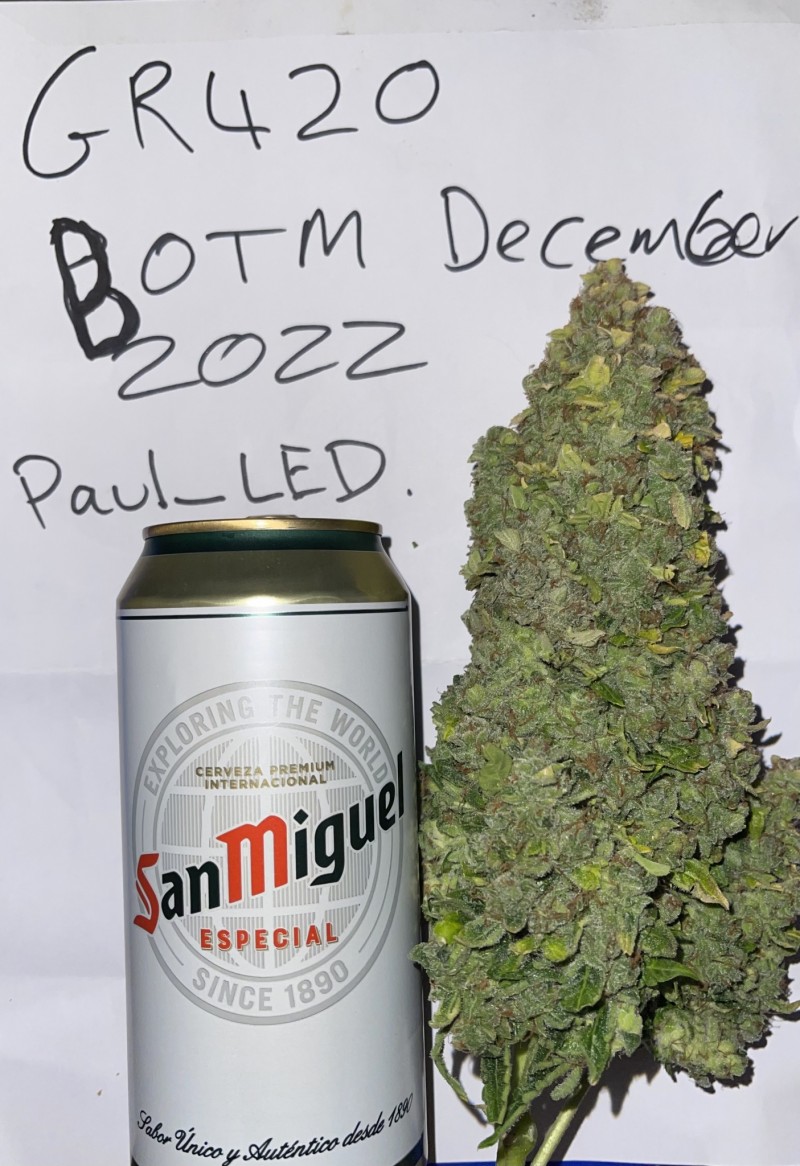 3530470F-1DFB-4FDB-86C3-8489CBB758D5