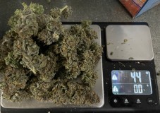 6F7AEDB2-8373-4B59-8B2E-CDAD66AA06DE