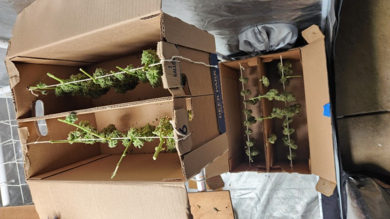 16718219943772902948223095723402