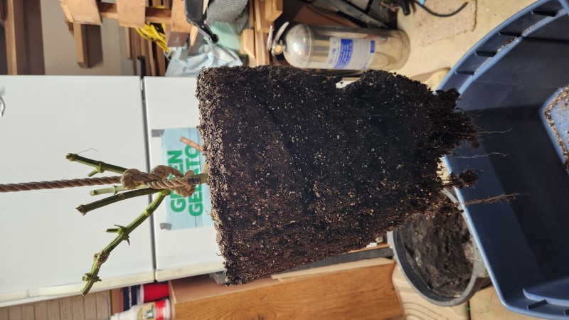 16718244164538522752855982270573