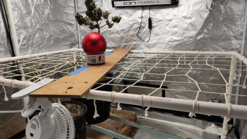 16721852647745608402219877222722