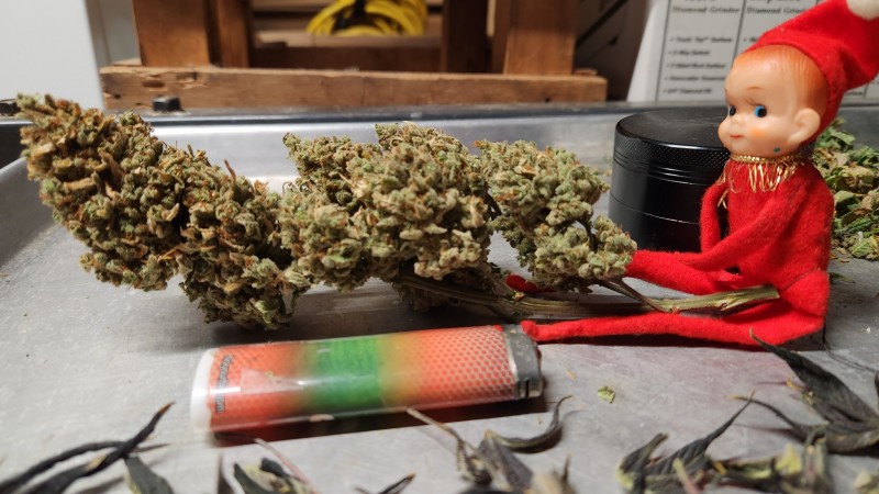 16722548241154399657810079920585