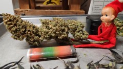 16722548241154399657810079920585