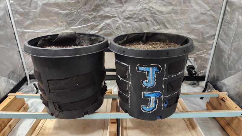 16722580624151571070146998918848