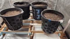 16722581457173587186774276963283