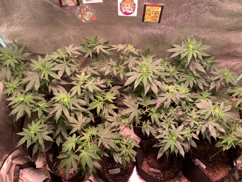 2BA9BEC4-B717-404B-A8D6-126FB10E8284