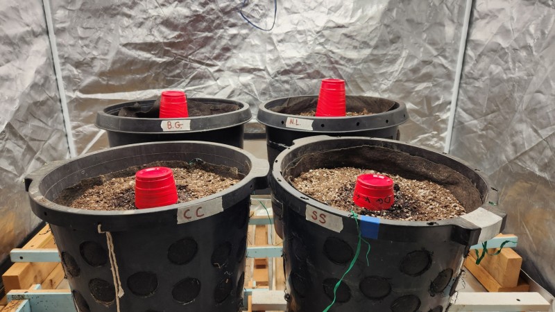 16726760092416211651393058378895