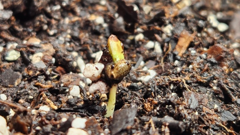 16730381174082971208225591639993