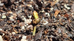 16730381174082971208225591639993