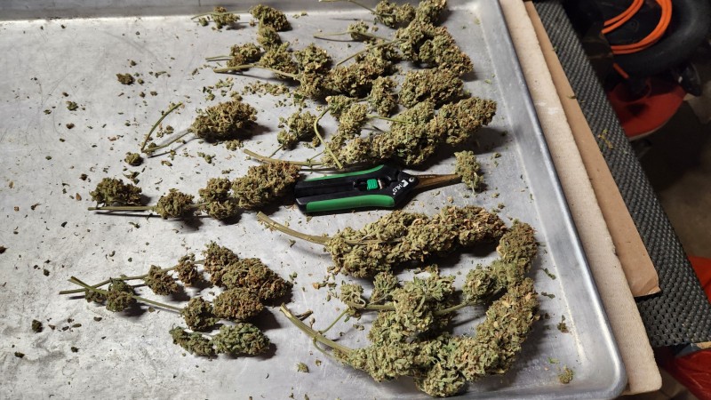 16733137257382242682605433255199