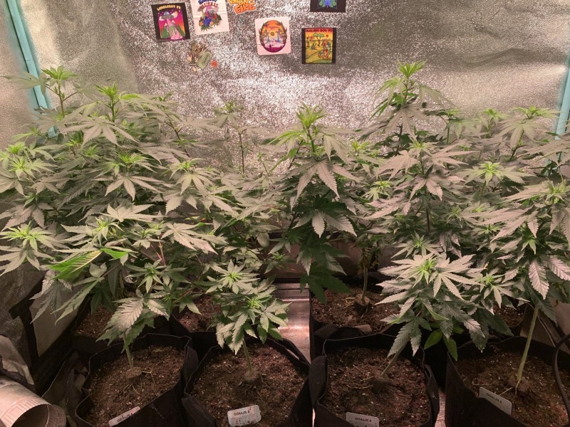 FA2BF7E6-6FF8-4245-9B3C-1923DB57BCB4