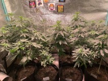 FA2BF7E6-6FF8-4245-9B3C-1923DB57BCB4