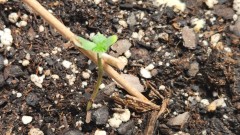 1673999589208260468594054423997