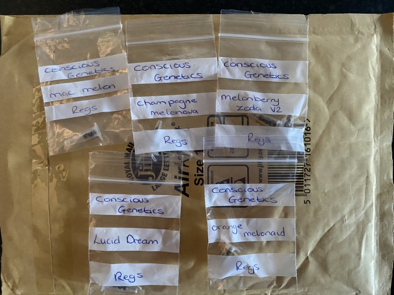 8DC8E4FD-45D0-44AA-9793-954F05B2ABD2