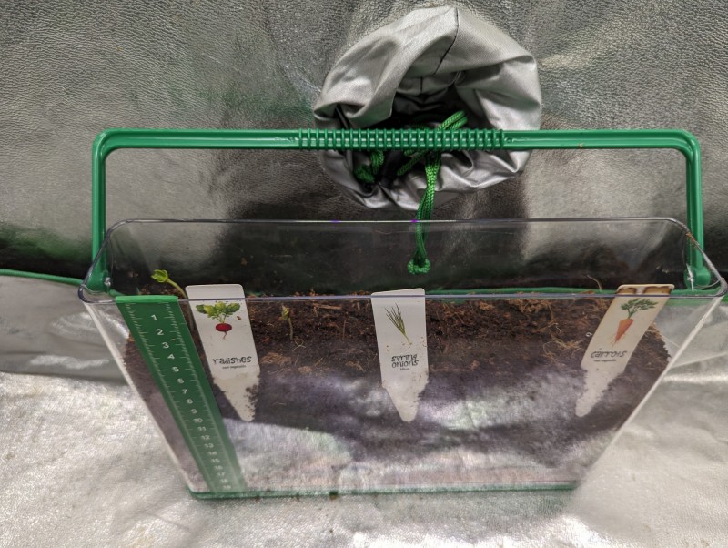 PXL_20230121_112324575