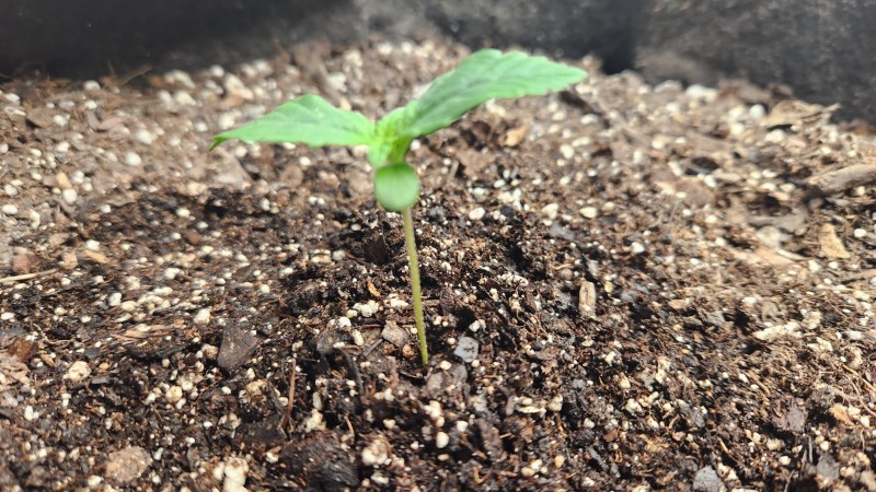 1674592096770583400448960478658