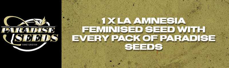 project_20230130_2301078-01 (2)