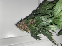 3570AB21-2D5D-4C81-B4D2-15918ADEA976