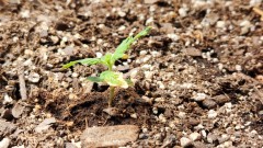 1675708343746237221184105615848