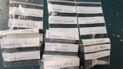 16757191707447496594921481347007