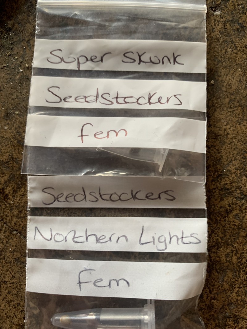 572C502A-D106-42C7-927C-90BE8EB9A8FA