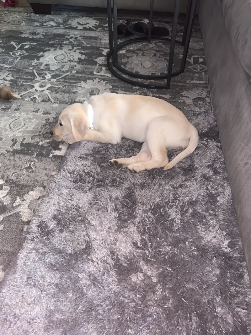 09620BD7-F88F-4E7C-8A8C-990A412097D5