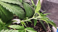 16764988335648127610903435356948