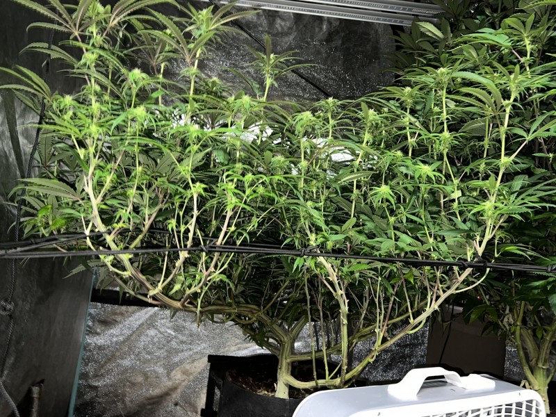 B151D670-231E-4DFD-A709-B58315A971CF