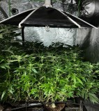 238E98AE-DDAB-4BC6-867F-AFF343262AA2