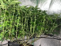 4F57986C-27B8-4832-99D0-93AC155070E6