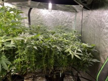 F8F7C3FC-51E6-4DD1-9EA9-EBCC1F431B52