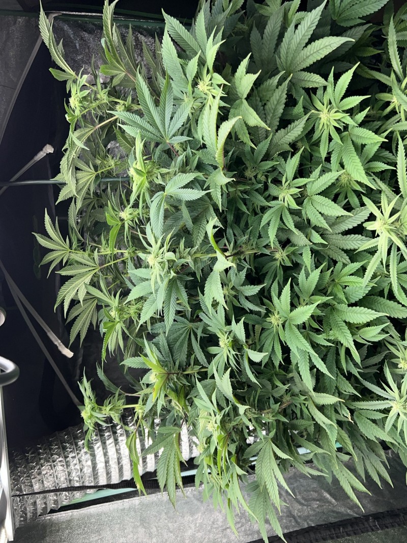 E551F253-B7E2-4AE6-8060-329408601EB5