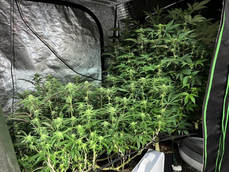 488C1945-51B5-421F-9AE1-5FA5508502ED