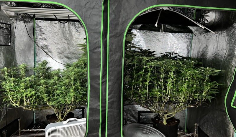 DCACFF54-8E0D-4297-86D6-3B48408BEF55