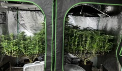 DCACFF54-8E0D-4297-86D6-3B48408BEF55