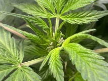 D79A1AF9-D343-4D3C-8764-C742A079608B