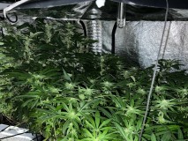 E1A8F938-E3F7-46C5-9428-D71FAECFCCD6