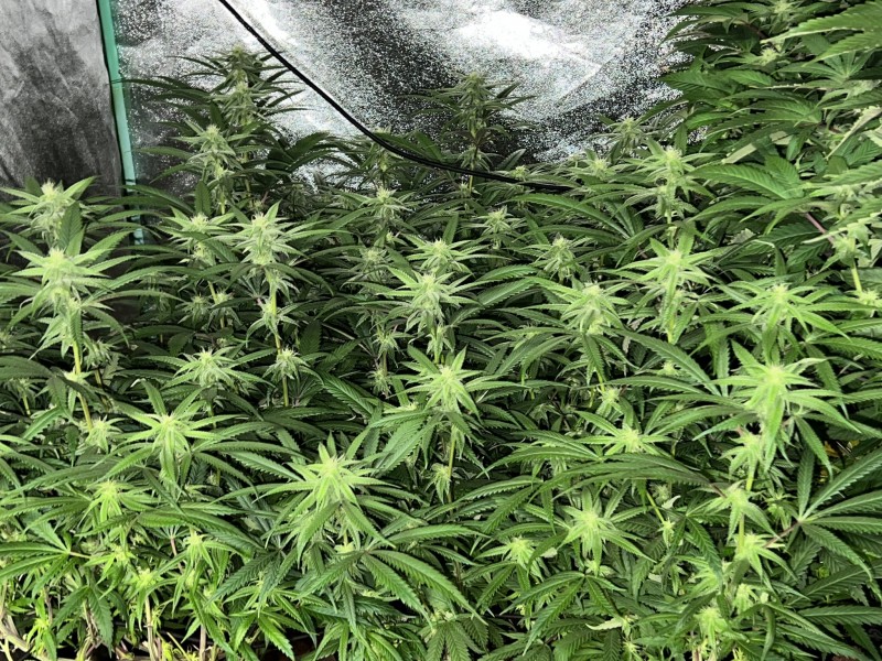 9B81078F-75AF-480B-9E21-A05F99BB1FD7