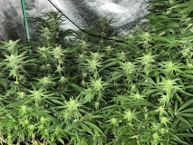 9B81078F-75AF-480B-9E21-A05F99BB1FD7